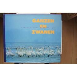 Ganzen en Zwanen door Bart Ebbinga