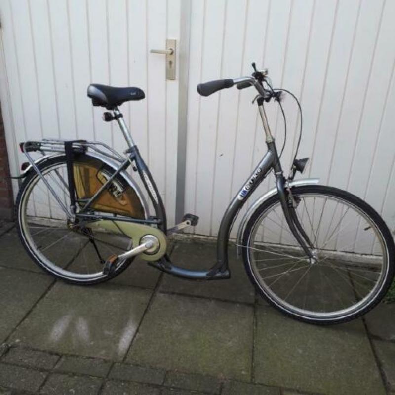 damesfiets met versnellingen lin bike lage instapfiets 3 v