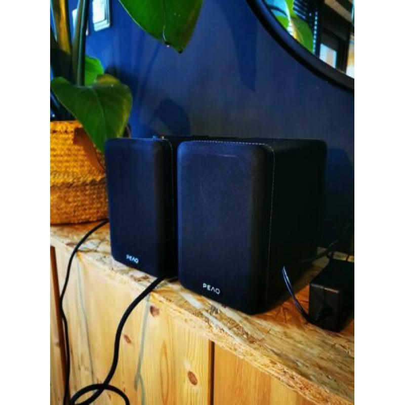 PEAQ Bleutooth speakerset.
