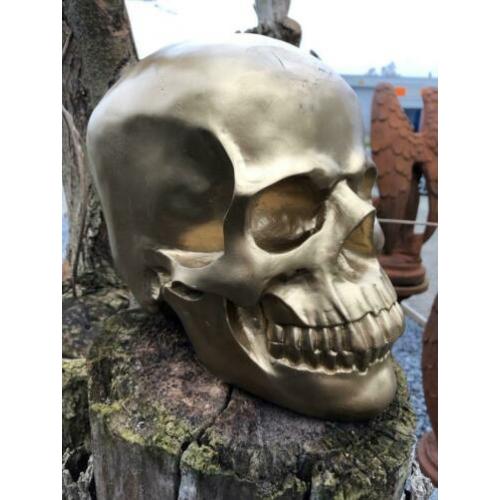 Skull-schedel, uit Polystein, gold.
