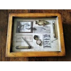 Vitrinekist hout met collage van vissen (kan eruit) 22 x 27