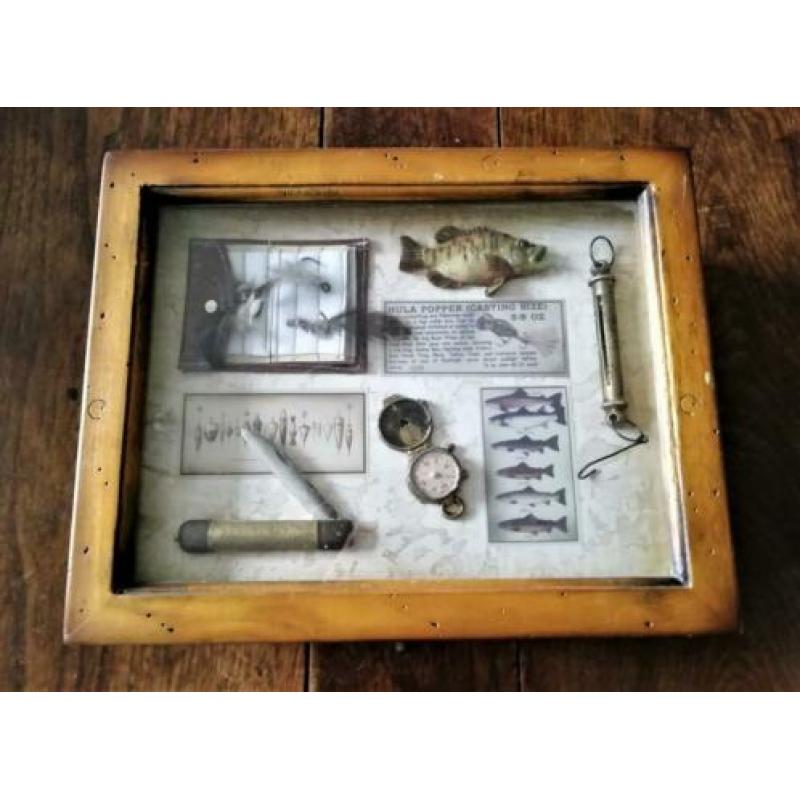 Vitrinekist hout met collage van vissen (kan eruit) 22 x 27