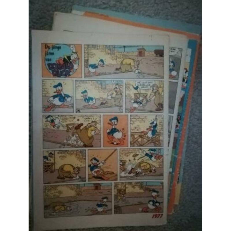 Weekblad Donald Duck