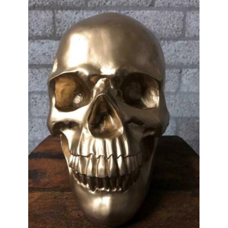 Skull-schedel, uit Polystein, gold.