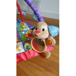 Baby speelmat babygym fisher-price interactieve speelmat