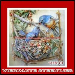 ¦ Diamond Painting Vogels-Nest 40*40 Full-Volledig