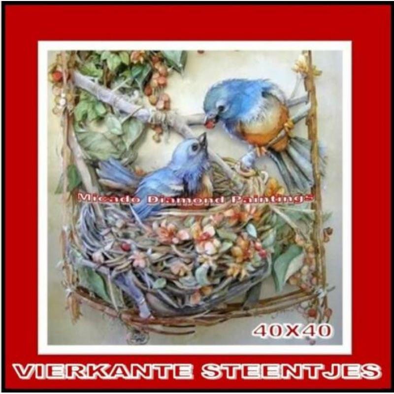 ¦ Diamond Painting Vogels-Nest 40*40 Full-Volledig