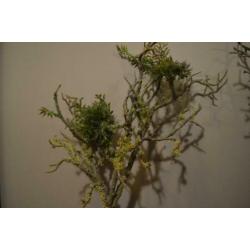 2 decoratieve groene kunsttakken