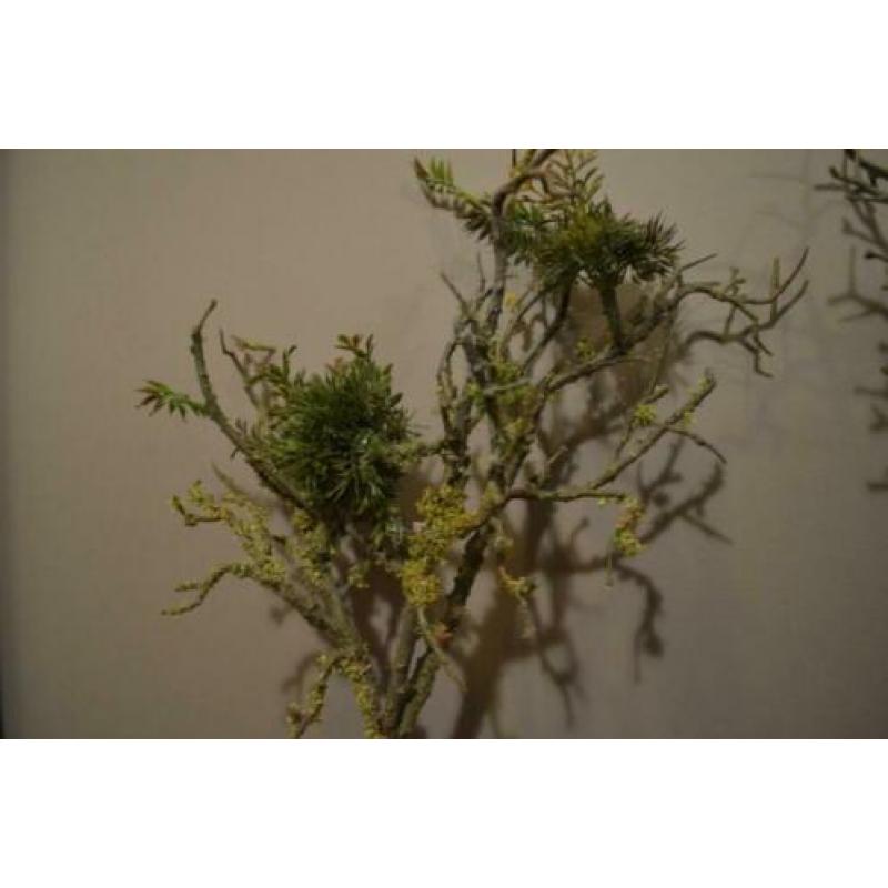 2 decoratieve groene kunsttakken