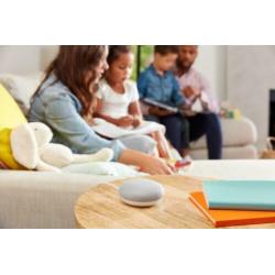 Google Home Mini - Smart Speaker / Zwart / Nederlandstalig