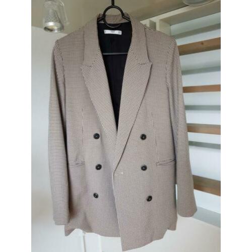 Mango kolbert S