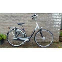 Gazelle Saphir Goldline. Nexus 8 premium