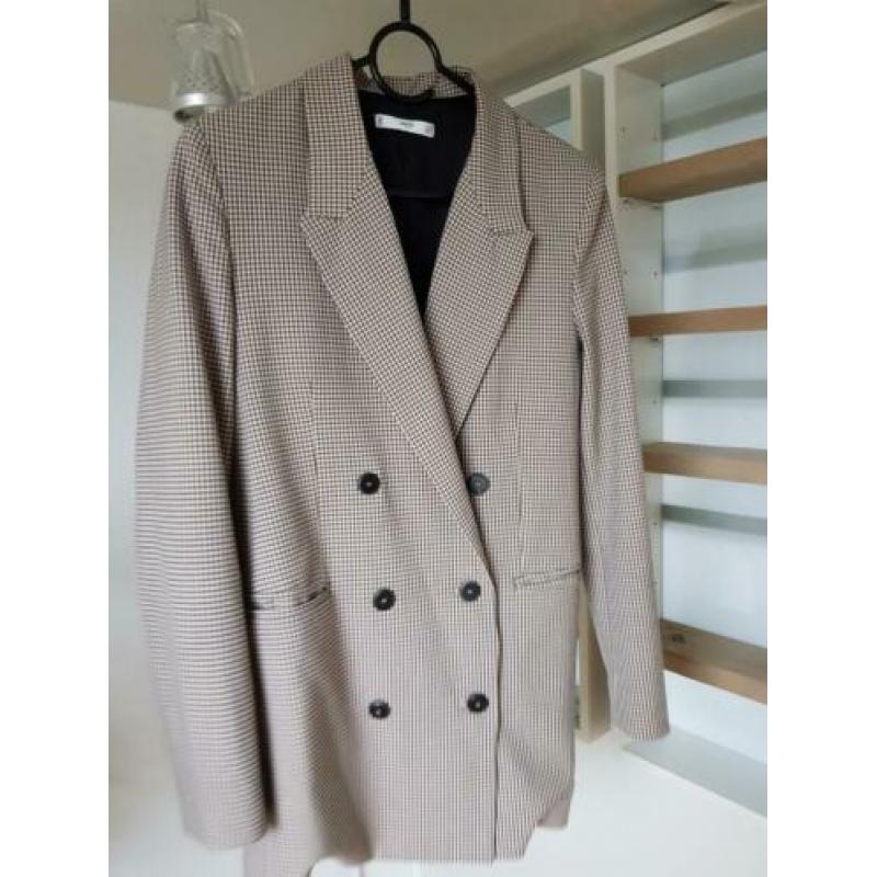 Mango kolbert S