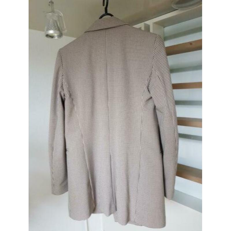 Mango kolbert S