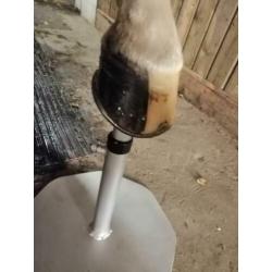 2 delige Hoefbok met of zonder rasp