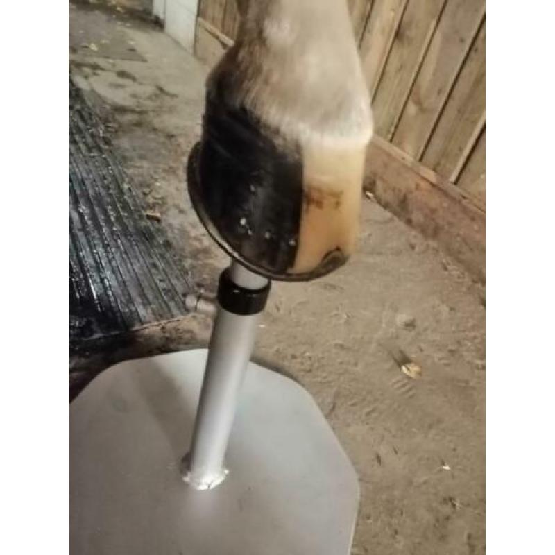 2 delige Hoefbok met of zonder rasp