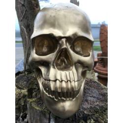 Skull-schedel, uit Polystein, gold.