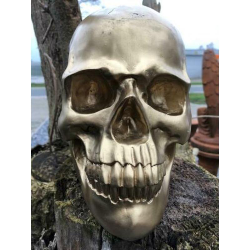 Skull-schedel, uit Polystein, gold.