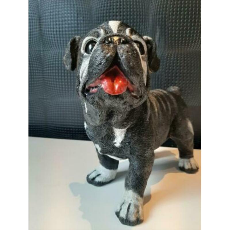 Handgeschilderd beeld kunst bulldog 33cm hoog !