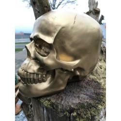 Skull-schedel, uit Polystein, gold.