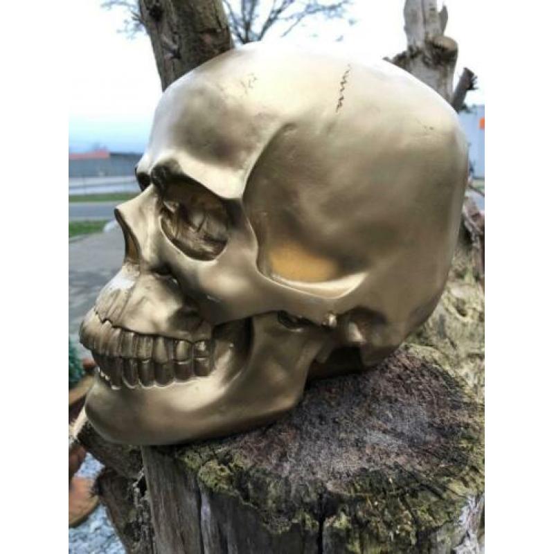 Skull-schedel, uit Polystein, gold.