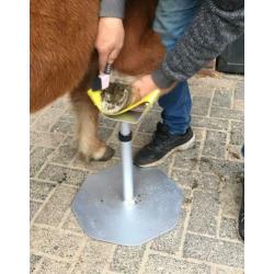 2 delige Hoefbok met of zonder rasp