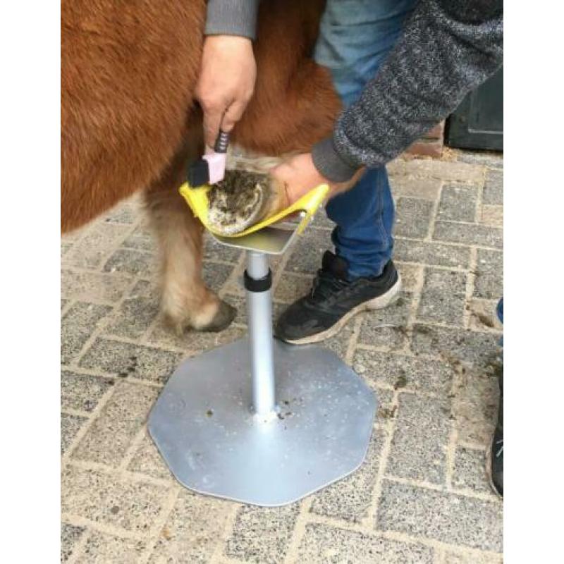 2 delige Hoefbok met of zonder rasp