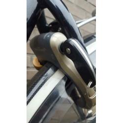 Gazelle Saphir Goldline. Nexus 8 premium