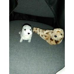 Knuffels