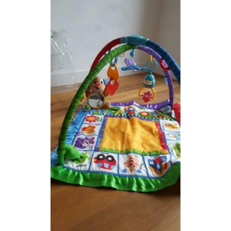 Baby speelmat babygym fisher-price interactieve speelmat