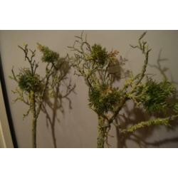 2 decoratieve groene kunsttakken