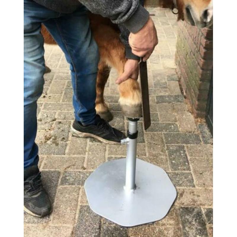 2 delige Hoefbok met of zonder rasp