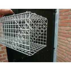 Vangkooi voor ongedierte / Rattenval