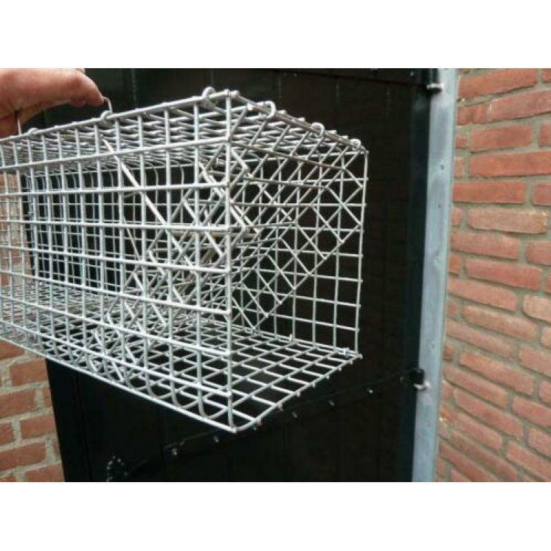 Vangkooi voor ongedierte / Rattenval