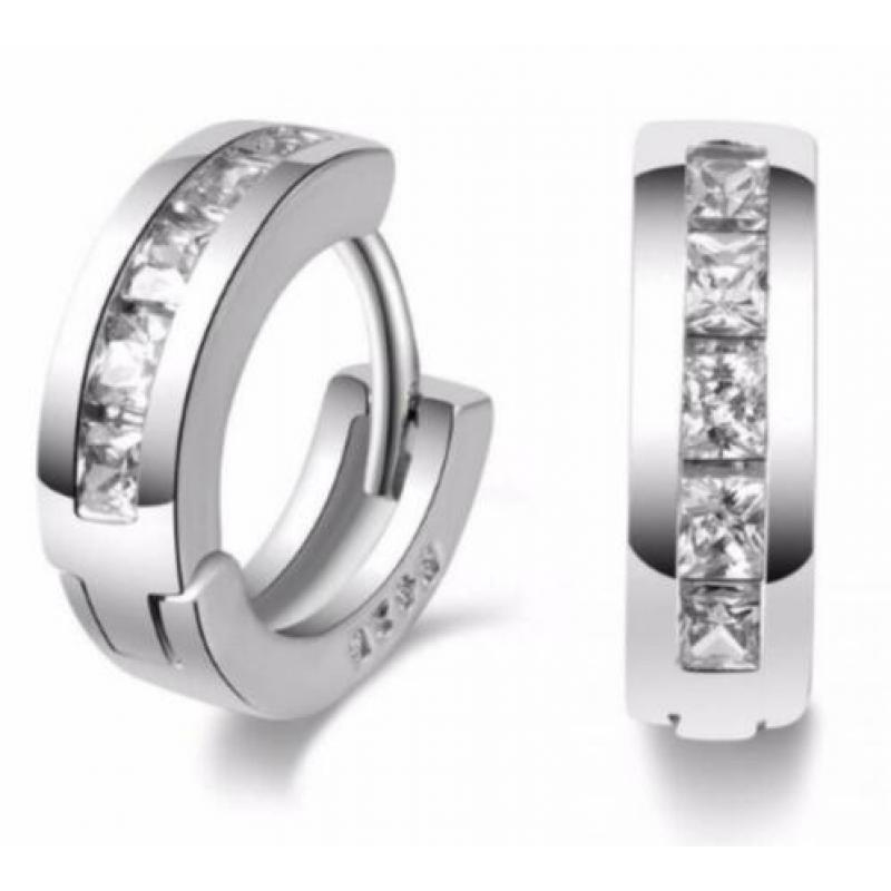 925 Sterling Zilveren Oorringen met Zirkonia Nieuw