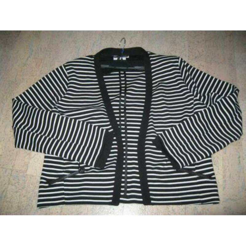 I.n.s exclusief chique zwart/wit gestreept vest/jasje.... (