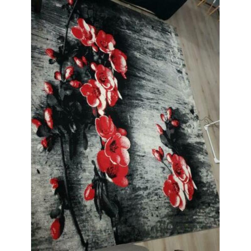 Twee vloerkleed nieuw ,klein is 180×120 en groot is 240×320