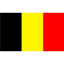 Congo-Kinshasa. vlag 90 x 150 cm vlaggen van Afrika