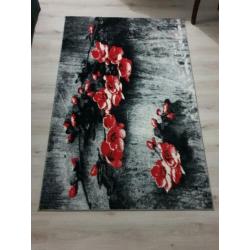 Twee vloerkleed nieuw ,klein is 180×120 en groot is 240×320