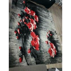 Twee vloerkleed nieuw ,klein is 180×120 en groot is 240×320