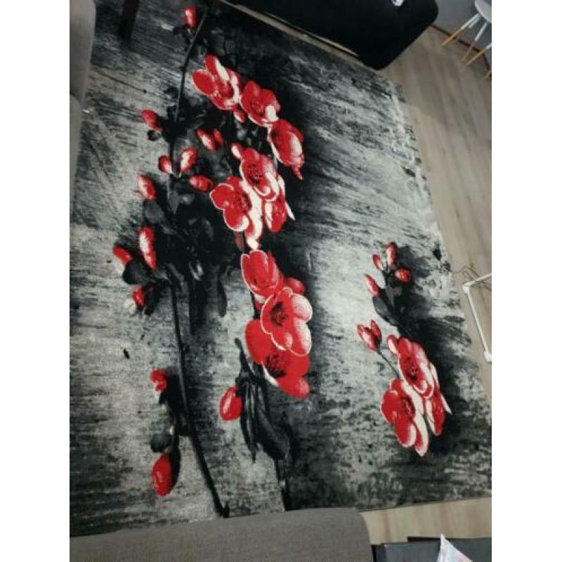 Twee vloerkleed nieuw ,klein is 180×120 en groot is 240×320