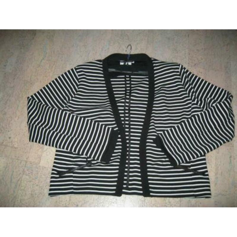 I.n.s exclusief chique zwart/wit gestreept vest/jasje.... (