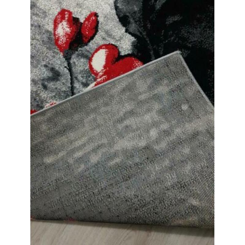 Twee vloerkleed nieuw ,klein is 180×120 en groot is 240×320