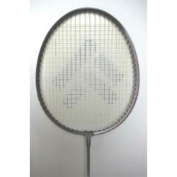 2 Tecno Pro badmintonrackets met beschermhoes