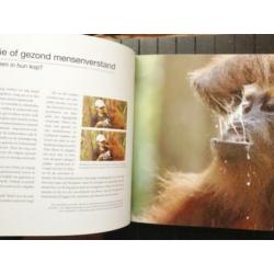 De denkers van de jungle - Het orangutan rapport - gebonden
