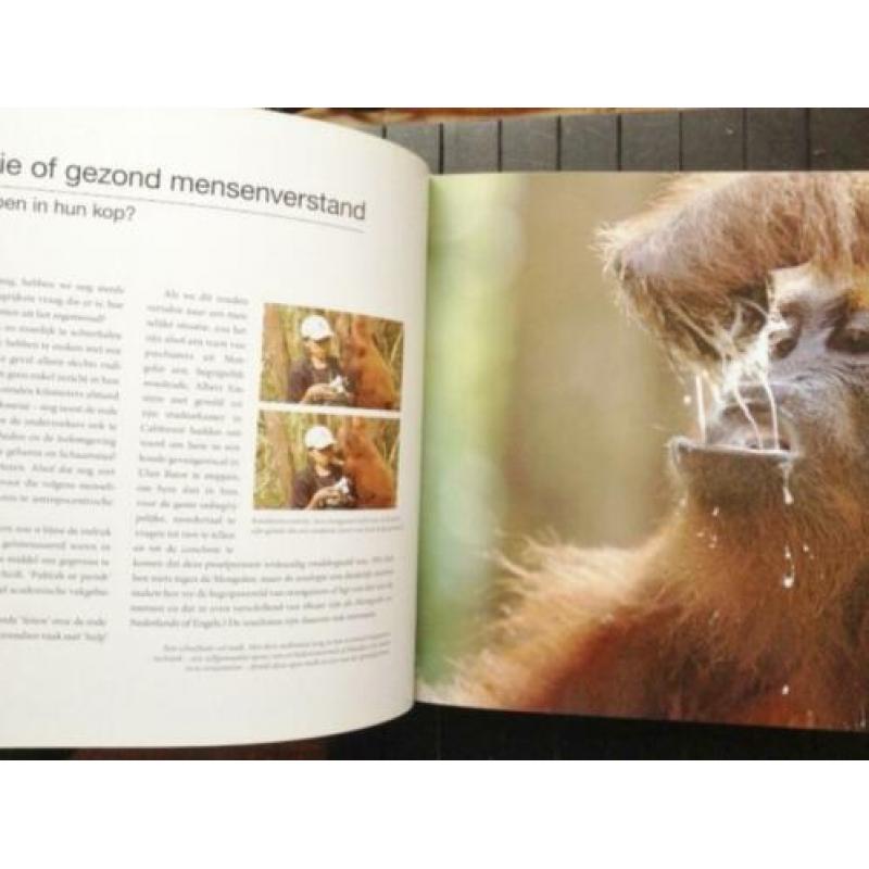 De denkers van de jungle - Het orangutan rapport - gebonden