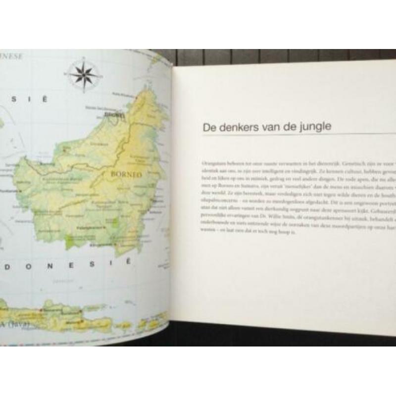 De denkers van de jungle - Het orangutan rapport - gebonden