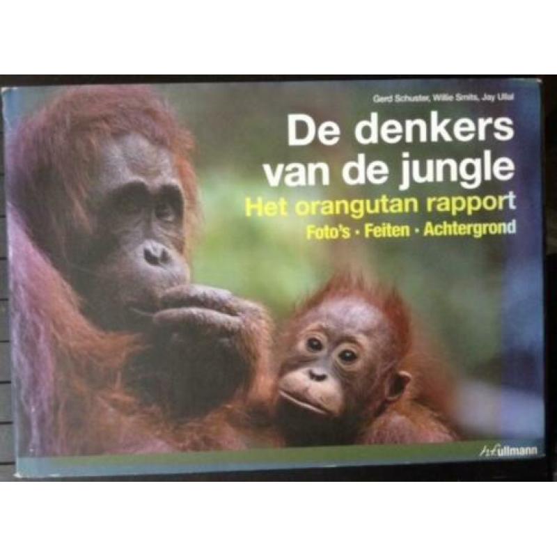 De denkers van de jungle - Het orangutan rapport - gebonden