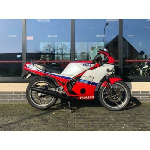 Yamaha RD 350 LC Yamaha RD 350 LC (bj 1985)