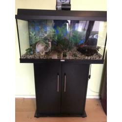 Aquarium 100l